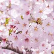 ゆか 4月スタート♡ 花影（かえい）