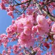 ゆか お礼♡ 花影（かえい）