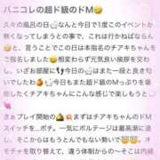 ヒメ日記 2024/12/28 22:27 投稿 チアキ バニーコレクション秋田店