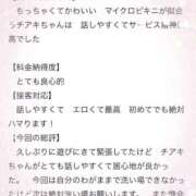 ヒメ日記 2025/11/15 14:03 投稿 チアキ バニーコレクション秋田店