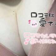 ヒメ日記 2025/02/22 17:31 投稿 杏樹 名古屋ちゃんこ