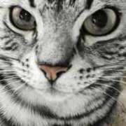 ヒメ日記 2024/12/13 11:26 投稿 まゆゆ パリス雄琴店