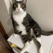 ヒメ日記 2024/12/14 00:42 投稿 まゆゆ パリス雄琴店