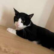 ヒメ日記 2024/12/21 00:22 投稿 まゆゆ パリス雄琴店