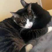 ヒメ日記 2024/12/21 11:42 投稿 まゆゆ パリス雄琴店