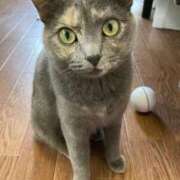 ヒメ日記 2024/12/22 00:42 投稿 まゆゆ パリス雄琴店