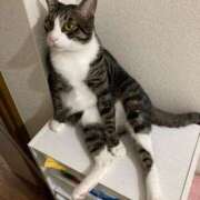 ヒメ日記 2024/12/25 10:22 投稿 まゆゆ パリス雄琴店