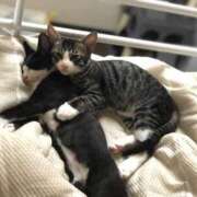 ヒメ日記 2024/12/26 01:02 投稿 まゆゆ パリス雄琴店