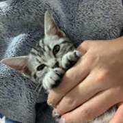 ヒメ日記 2024/12/29 00:32 投稿 まゆゆ パリス雄琴店