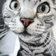 ヒメ日記 2025/01/01 12:42 投稿 まゆゆ パリス雄琴店