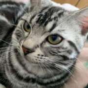 ヒメ日記 2025/01/01 22:52 投稿 まゆゆ パリス雄琴店