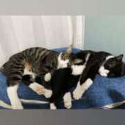 ヒメ日記 2025/01/04 23:02 投稿 まゆゆ パリス雄琴店