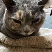 ヒメ日記 2025/03/21 23:22 投稿 まゆゆ パリス雄琴店