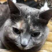 ヒメ日記 2025/03/23 00:02 投稿 まゆゆ パリス雄琴店