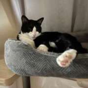 ヒメ日記 2025/04/20 00:02 投稿 まゆゆ パリス雄琴店