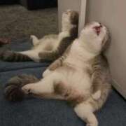 ヒメ日記 2025/04/25 23:52 投稿 まゆゆ パリス雄琴店