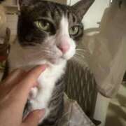 ヒメ日記 2025/04/30 12:07 投稿 まゆゆ パリス雄琴店