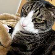 ヒメ日記 2025/05/01 00:05 投稿 まゆゆ パリス雄琴店