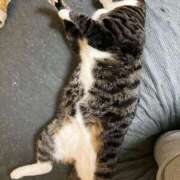 ヒメ日記 2025/05/09 12:31 投稿 まゆゆ パリス雄琴店