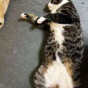 ヒメ日記 2025/05/11 11:42 投稿 まゆゆ パリス雄琴店