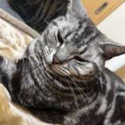 ヒメ日記 2025/05/16 18:50 投稿 まゆゆ パリス雄琴店