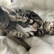 ヒメ日記 2025/05/18 10:22 投稿 まゆゆ パリス雄琴店