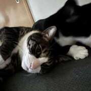 ヒメ日記 2025/05/23 17:22 投稿 まゆゆ パリス雄琴店