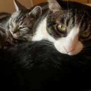 ヒメ日記 2025/05/30 18:50 投稿 まゆゆ パリス雄琴店