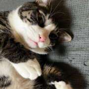 ヒメ日記 2025/06/12 12:34 投稿 まゆゆ パリス雄琴店