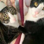 ヒメ日記 2025/06/14 13:11 投稿 まゆゆ パリス雄琴店