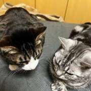 ヒメ日記 2025/06/20 13:14 投稿 まゆゆ パリス雄琴店