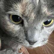 ヒメ日記 2025/07/03 13:22 投稿 まゆゆ パリス雄琴店