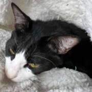 ヒメ日記 2025/07/04 12:37 投稿 まゆゆ パリス雄琴店