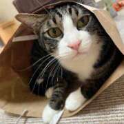 ヒメ日記 2025/07/19 00:02 投稿 まゆゆ パリス雄琴店