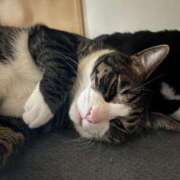 ヒメ日記 2025/07/19 09:22 投稿 まゆゆ パリス雄琴店