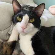 ヒメ日記 2025/07/26 14:42 投稿 まゆゆ パリス雄琴店