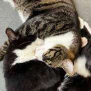 ヒメ日記 2025/08/07 18:03 投稿 まゆゆ パリス雄琴店