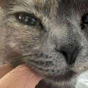 ヒメ日記 2025/08/16 11:42 投稿 まゆゆ パリス雄琴店