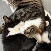 ヒメ日記 2025/08/29 17:22 投稿 まゆゆ パリス雄琴店