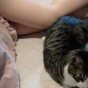 ヒメ日記 2025/11/01 21:27 投稿 まゆゆ パリス雄琴店