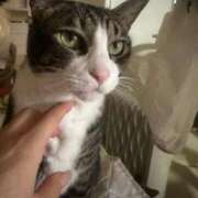 ヒメ日記 2025/11/07 20:42 投稿 まゆゆ パリス雄琴店