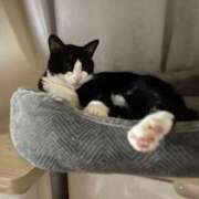 ヒメ日記 2025/11/14 15:12 投稿 まゆゆ パリス雄琴店