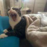 ヒメ日記 2025/11/15 08:42 投稿 まゆゆ パリス雄琴店