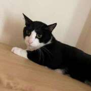 ヒメ日記 2025/11/21 16:47 投稿 まゆゆ パリス雄琴店