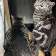 ヒメ日記 2025/11/22 12:20 投稿 まゆゆ パリス雄琴店