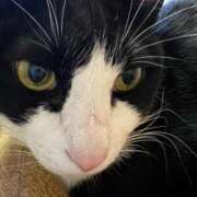 まゆゆ 撮影撮影 パリス雄琴店