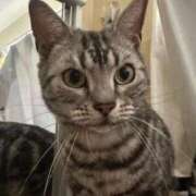 ヒメ日記 2025/12/10 20:40 投稿 まゆゆ パリス雄琴店