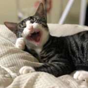 ヒメ日記 2025/12/10 22:15 投稿 まゆゆ パリス雄琴店