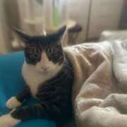 まゆゆ お得 パリス雄琴店