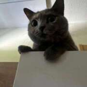 まゆゆ ハプニングハプ パリス雄琴店